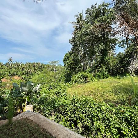 D'Nanda Villa Ubud  Bagian luar foto