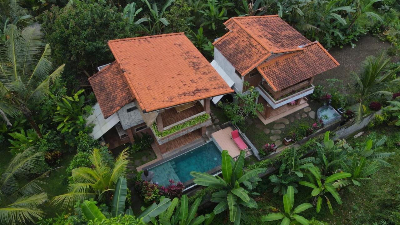 D'Nanda Villa Ubud  Bagian luar foto