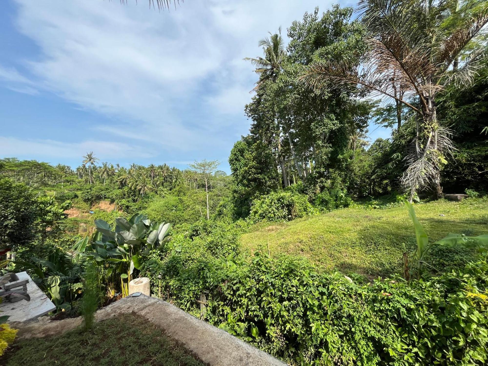 D'Nanda Villa Ubud  Bagian luar foto
