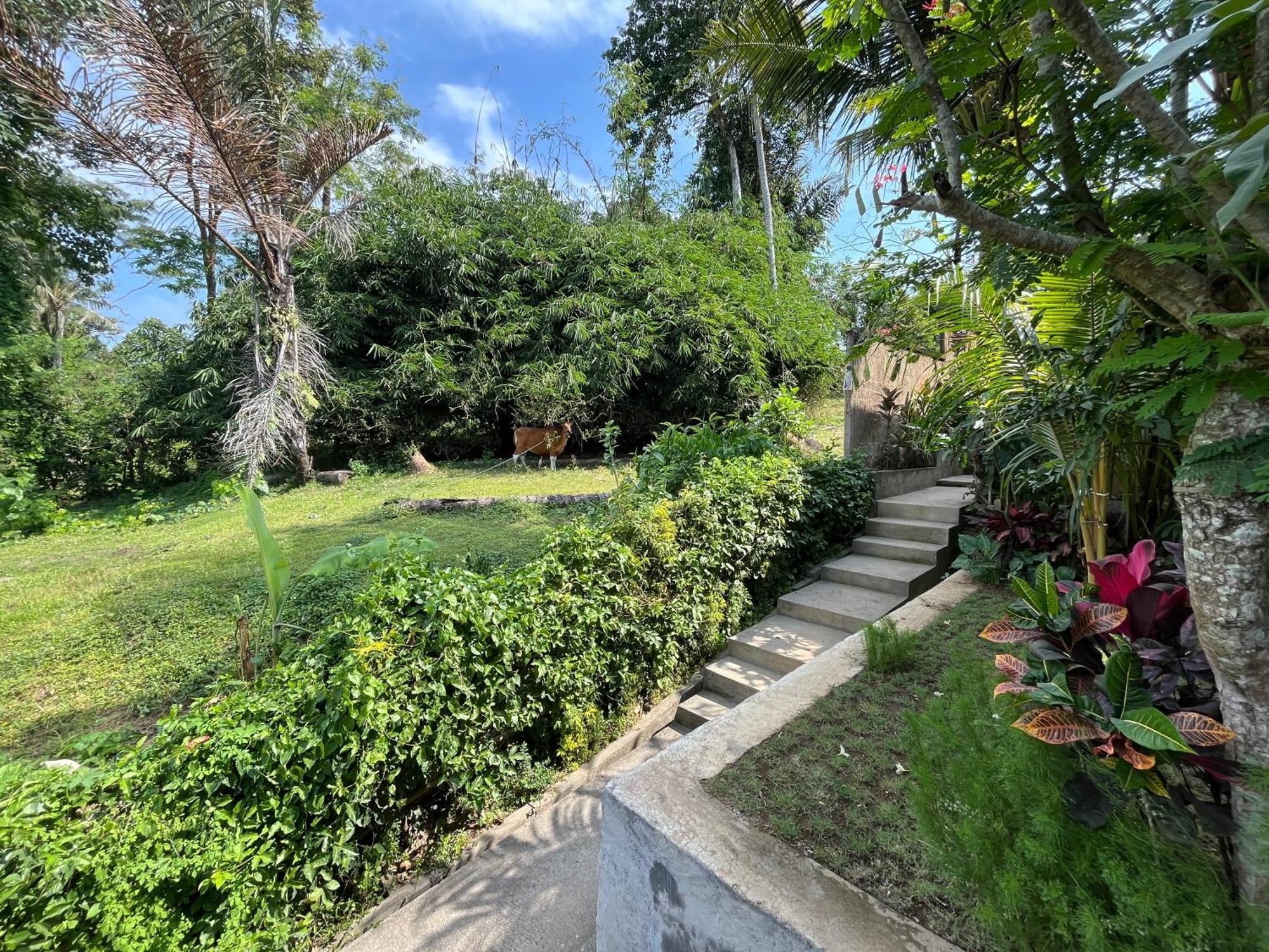 D'Nanda Villa Ubud  Bagian luar foto